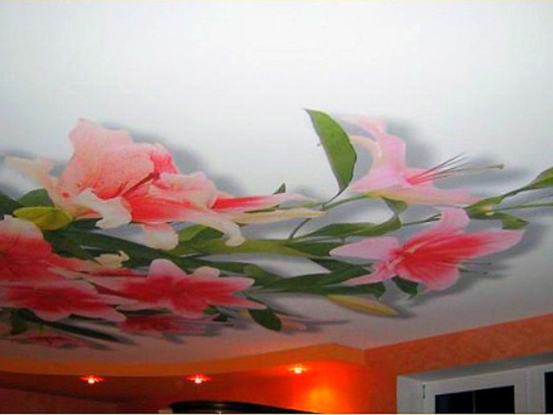 Натяжной тканевый потолок с 3D изображением