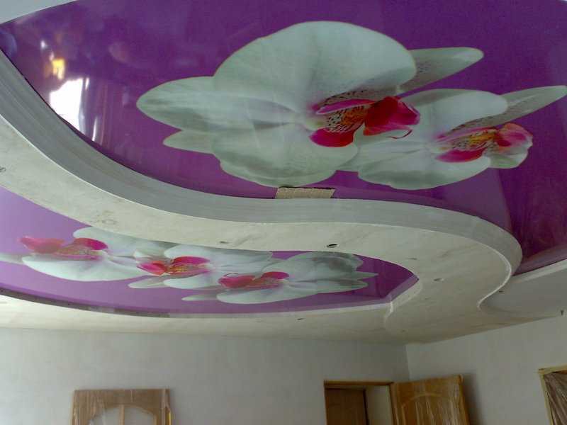 Натяжной потолок с изображением орхидей