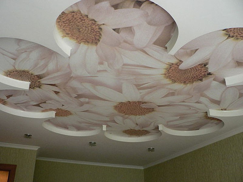 Потолок с вырезом-ромашкой