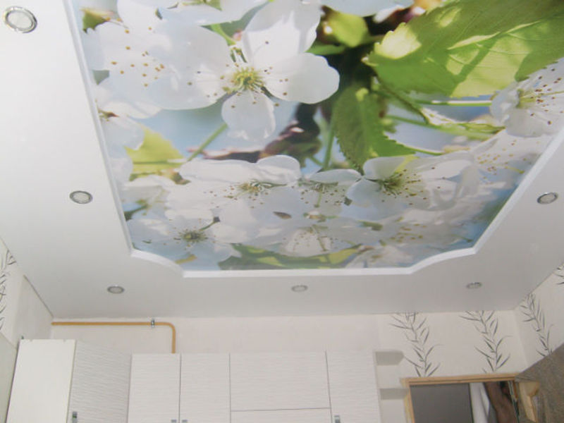 Потолок с цветочным декором