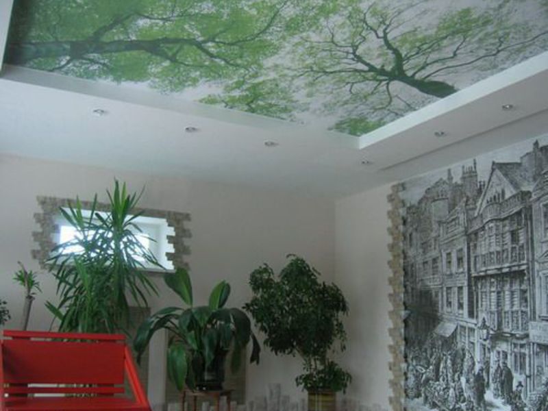 Натяжной тканевый потолок с изображением деревьев