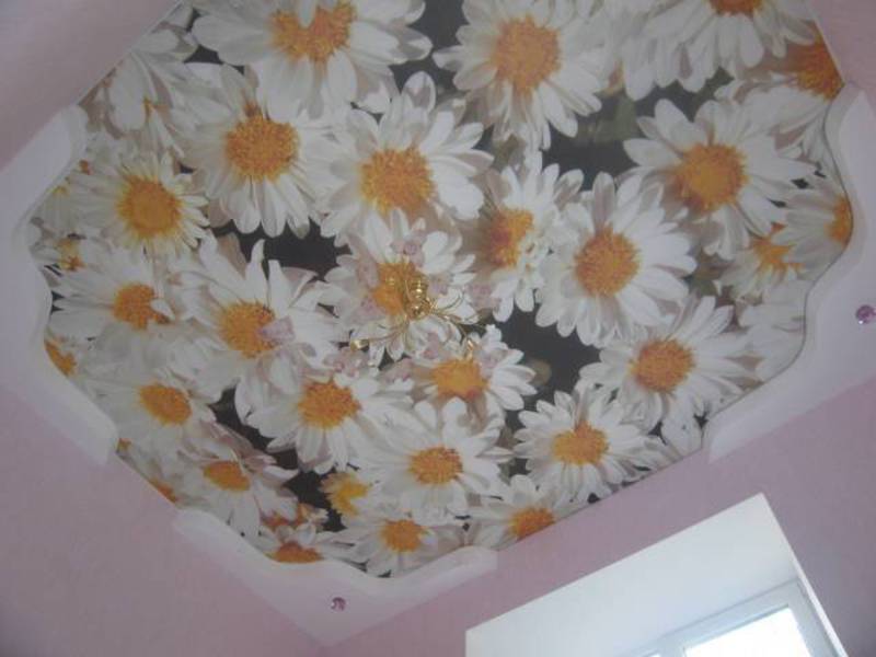 Тканевый натяжной потолок с изображением ромашек