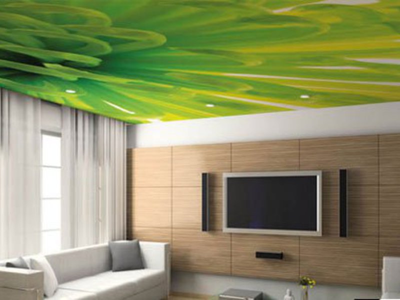 Натяжной потолок с рисунком зеленого цвета