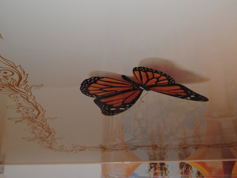 Натяжной потолок с фотопечатью - бабочка